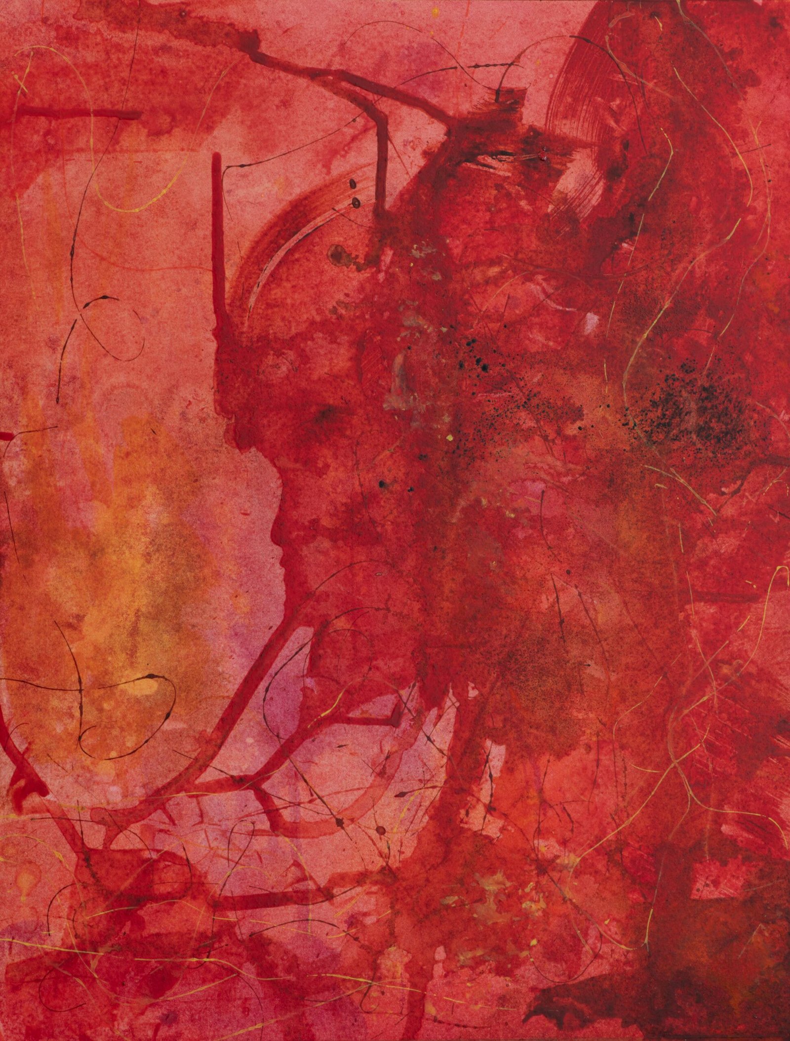 DSC_3824-Avec accentuation-SR-topaz-enhance-13072h